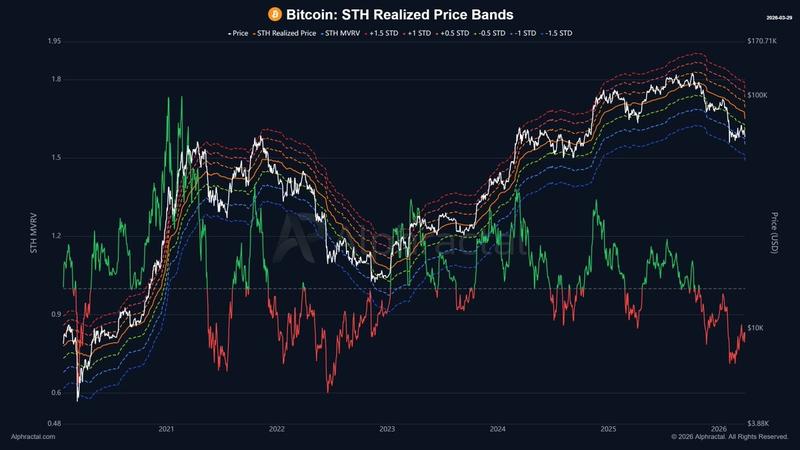 Bitcoin STH realized price bands