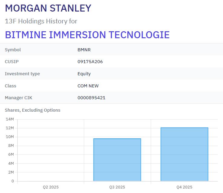 Morgan Stanley BMNR share holdings during 2025