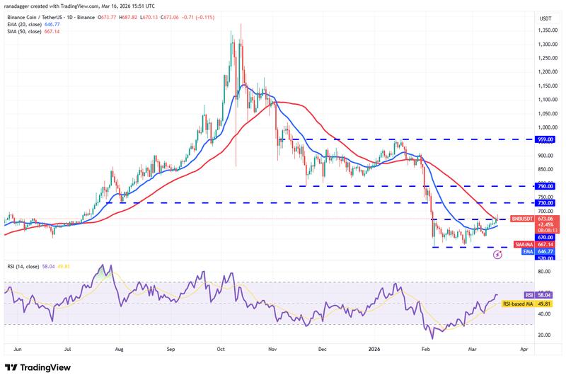 BNB/USDT daily chart