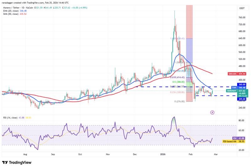 Daily chart for XMR/USDT