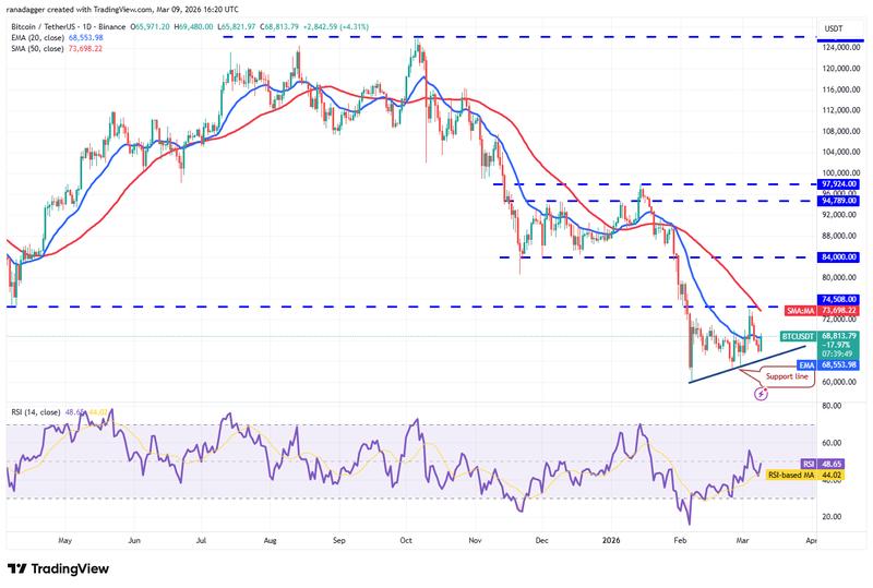 BTC/USDT daily chart