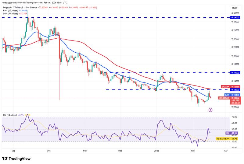 DOGE/USDT daily chart