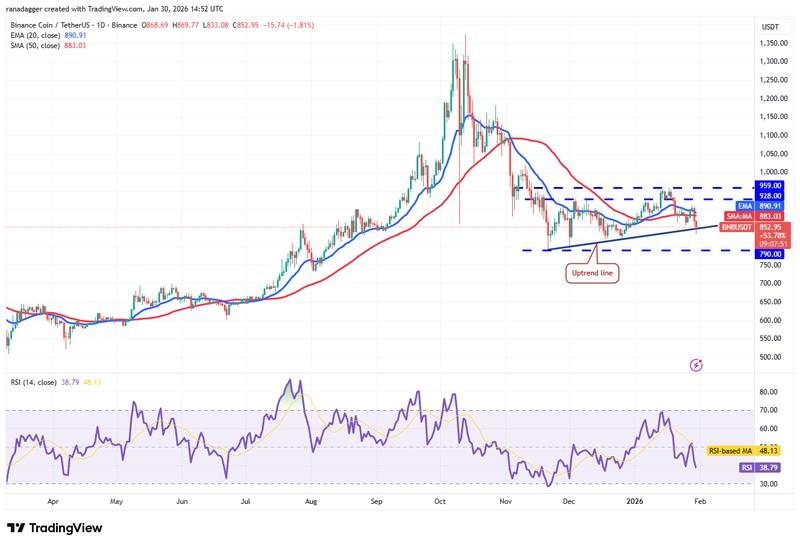 BNB/USDT daily chart