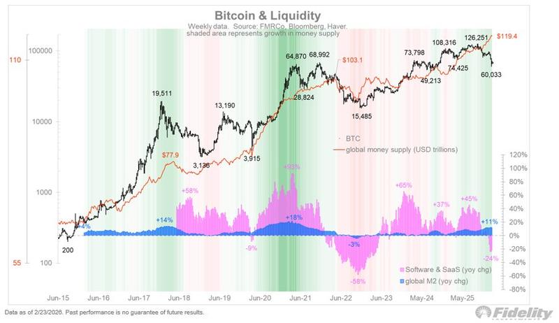 Bitcoin, Global Liquidity, and SaaS stocks