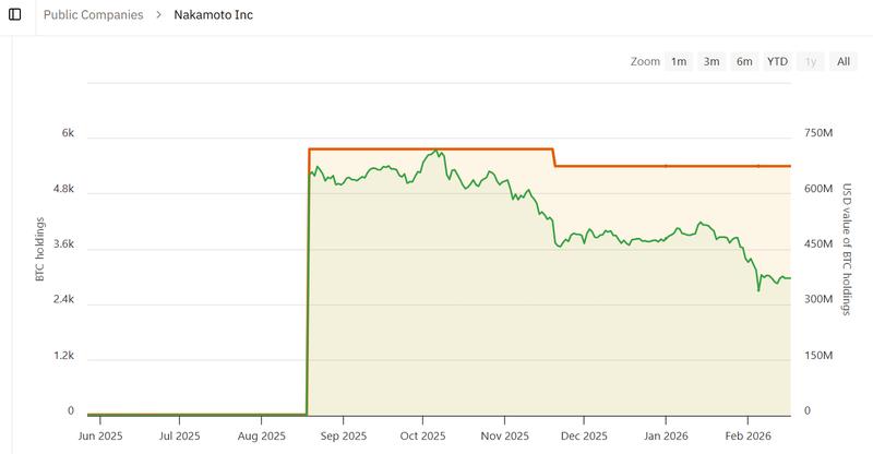 Bitcoin treasury holdings chart
