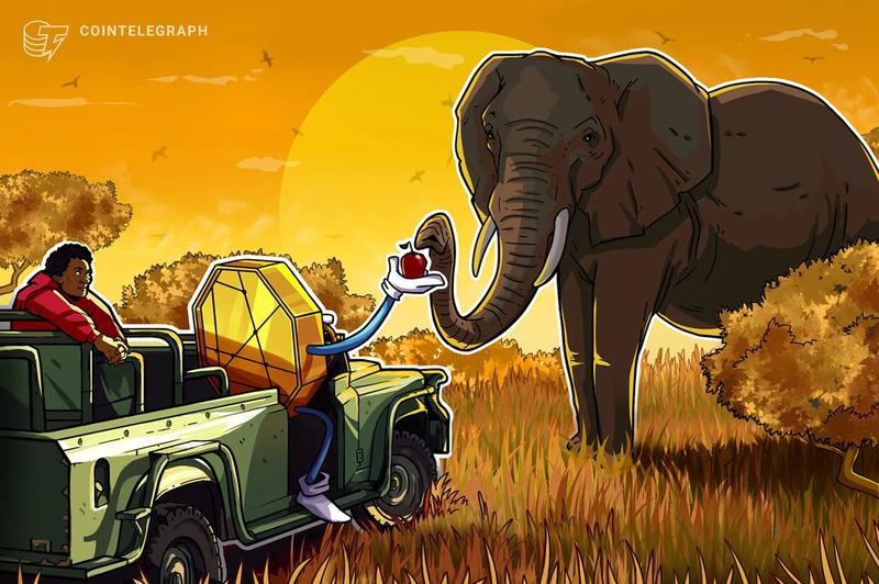Why crypto-based charity projects struggle to deliver lasting impact in Africa