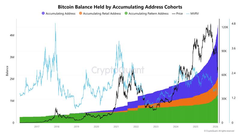 BTC balance held by different accumulating cohorts