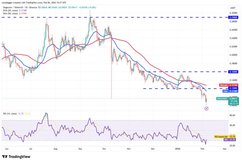 DOGE/USDT daily chart