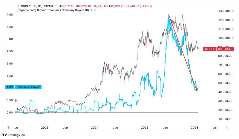 Bitcoin treasury companies buyers