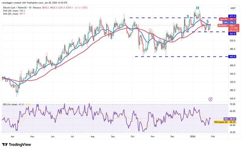 BCH/USDT daily chart