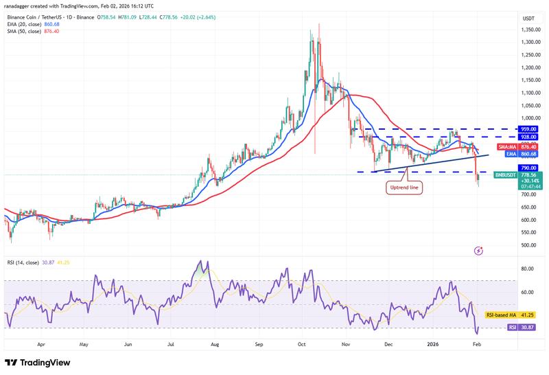 BNB/USDT daily chart