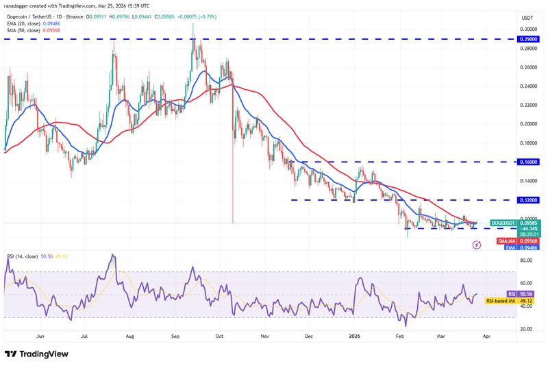 DOGE/USDT daily chart