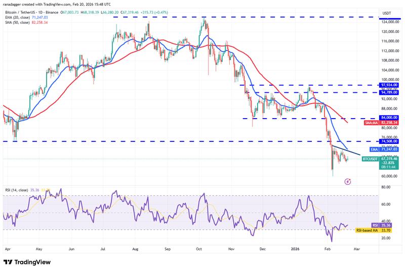 BTC/USDT daily chart
