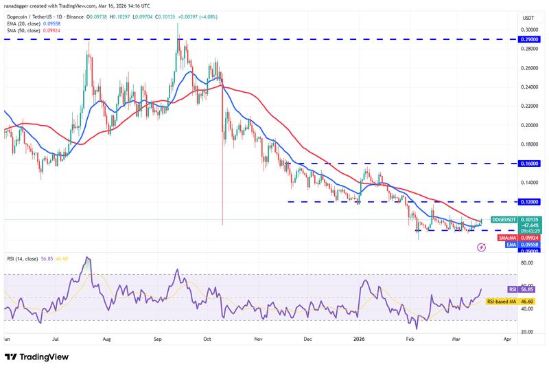 DOGE/USDT daily chart